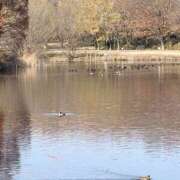 ヒメ日記 2025/12/28 09:22 投稿 りこ 熟女の風俗最終章 宇都宮店