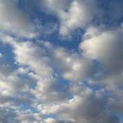 ヒメ日記 2025/12/29 15:01 投稿 りこ 熟女の風俗最終章 宇都宮店