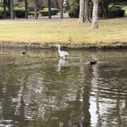 ヒメ日記 2025/12/30 19:08 投稿 りこ 熟女の風俗最終章 宇都宮店