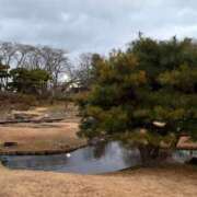 ヒメ日記 2026/01/08 08:51 投稿 りこ 熟女の風俗最終章 宇都宮店