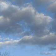 ヒメ日記 2026/01/09 09:54 投稿 りこ 熟女の風俗最終章 宇都宮店