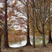 ヒメ日記 2026/01/09 14:41 投稿 りこ 熟女の風俗最終章 宇都宮店