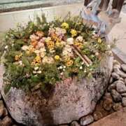 ヒメ日記 2026/01/09 20:11 投稿 りこ 熟女の風俗最終章 宇都宮店