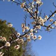 ヒメ日記 2026/03/04 21:20 投稿 りこ 熟女の風俗最終章 宇都宮店