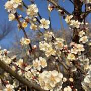 ヒメ日記 2026/03/07 08:11 投稿 りこ 熟女の風俗最終章 宇都宮店