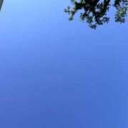 ヒメ日記 2025/05/01 02:09 投稿 速水　美織 モデルコレクション 五反田店