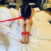 ヒメ日記 2025/01/25 12:25 投稿 速水　美織 イラマチーオ五反田店