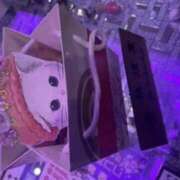 ヒメ日記 2025/02/06 18:19 投稿 速水　美織 イラマチーオ五反田店