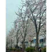 ヒメ日記 2026/04/01 11:32 投稿 のん 横浜パフパフチェリーパイ