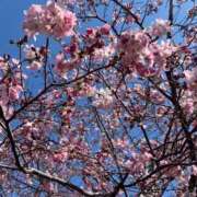 深田 久しぶりの夜♡ 熟女の風俗最終章 横浜本店