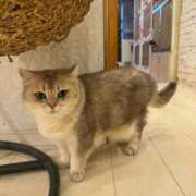 深田 お花見✿ 熟女の風俗最終章 横浜本店