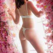 ヒメ日記 2025/02/18 11:49 投稿 篠田さくらこ ホットポイントヴィラ