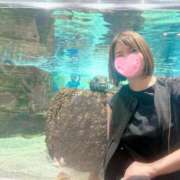 ヒメ日記 2025/09/26 06:42 投稿 篠田さくらこ ホットポイントヴィラ