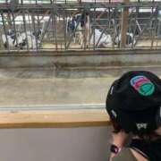 ヒメ日記 2026/08/06 18:46 投稿 篠田さくらこ ホットポイントヴィラ