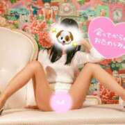 ヒメ日記 2025/07/29 17:01 投稿 シオリ AMOUR（アムール）