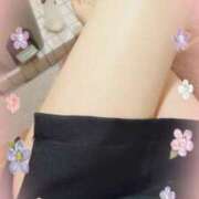 ヒメ日記 2025/03/19 15:34 投稿 やよい セクシーキャット 神田店