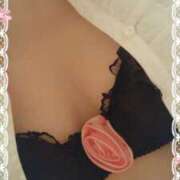 ヒメ日記 2025/03/26 15:28 投稿 やよい セクシーキャット 神田店