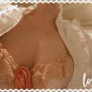 ヒメ日記 2025/09/29 15:32 投稿 やよい セクシーキャット 神田店