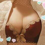 ヒメ日記 2025/10/31 15:30 投稿 やよい セクシーキャット 神田店