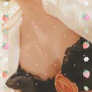 ヒメ日記 2025/12/17 15:34 投稿 やよい セクシーキャット 神田店