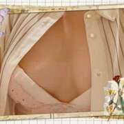 ヒメ日記 2026/01/26 15:33 投稿 やよい セクシーキャット 神田店