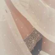 ヒメ日記 2026/02/18 15:33 投稿 やよい セクシーキャット 神田店