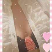 ヒメ日記 2026/03/25 15:33 投稿 やよい セクシーキャット 神田店