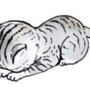 ヒメ日記 2024/12/12 21:19 投稿 三倉 BBW横浜店