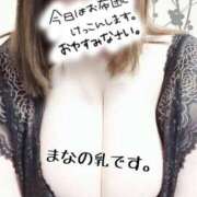 ヒメ日記 2025/11/23 02:08 投稿 三倉 BBW横浜店