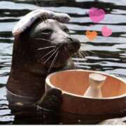 ヒメ日記 2025/02/26 15:05 投稿 つかさ ニューヨークニューヨーク