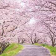 ヒメ日記 2025/03/30 15:18 投稿 つかさ ニューヨークニューヨーク