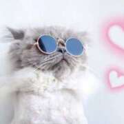 ヒメ日記 2026/02/22 15:33 投稿 つかさ ニューヨークニューヨーク