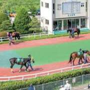 ヒメ日記 2024/03/22 13:33 投稿 なつみ 五反田・品川おかあさん