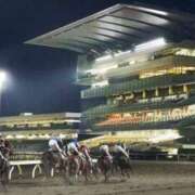 ヒメ日記 2024/12/19 21:23 投稿 なつみ 五反田・品川おかあさん