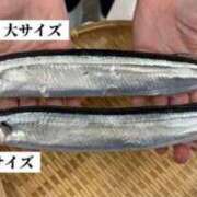ヒメ日記 2025/01/11 14:04 投稿 なつみ 五反田・品川おかあさん