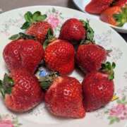 ヒメ日記 2025/02/24 11:43 投稿 なつみ 五反田・品川おかあさん