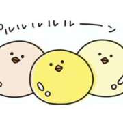 ヒメ日記 2025/03/04 20:53 投稿 なつみ 五反田・品川おかあさん