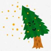 ヒメ日記 2025/03/14 15:04 投稿 なつみ 五反田・品川おかあさん