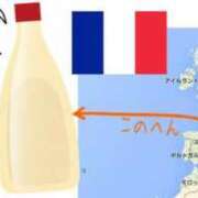 ヒメ日記 2025/03/22 11:53 投稿 なつみ 五反田・品川おかあさん