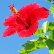 ヒメ日記 2025/03/23 12:43 投稿 なつみ 五反田・品川おかあさん