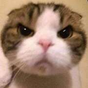 ヒメ日記 2025/05/22 20:53 投稿 なつみ 五反田・品川おかあさん