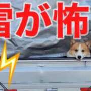 ヒメ日記 2025/09/17 18:53 投稿 なつみ 五反田・品川おかあさん