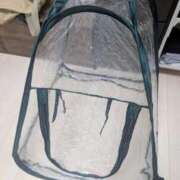 ヒメ日記 2025/10/16 20:33 投稿 なつみ 五反田・品川おかあさん