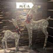 ヒメ日記 2025/12/04 22:34 投稿 なつみ 五反田・品川おかあさん