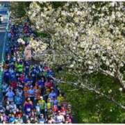 ヒメ日記 2026/03/18 19:03 投稿 なつみ 五反田・品川おかあさん