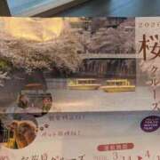 ヒメ日記 2026/03/21 16:13 投稿 なつみ 五反田・品川おかあさん