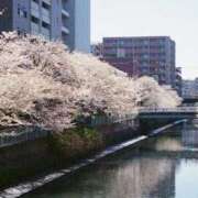 ヒメ日記 2026/04/09 19:15 投稿 なつみ 五反田・品川おかあさん