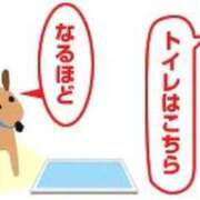 ヒメ日記 2026/08/26 19:53 投稿 なつみ 五反田・品川おかあさん