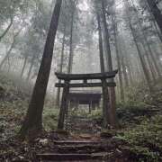 ヒメ日記 2025/09/14 13:14 投稿 さりな 美熟女倶楽部Hip's 春日部店