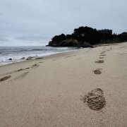 ヒメ日記 2025/09/16 14:28 投稿 さりな 美熟女倶楽部Hip's 春日部店